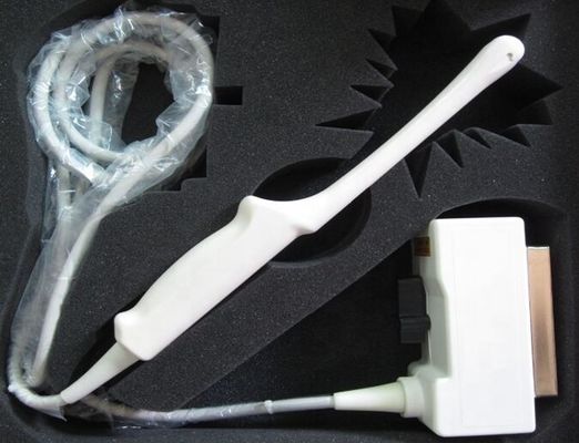 Esaote EC123 Transvaginale Ultraschallprobe Klasse II Instrument mit verbessertem Bildgebung