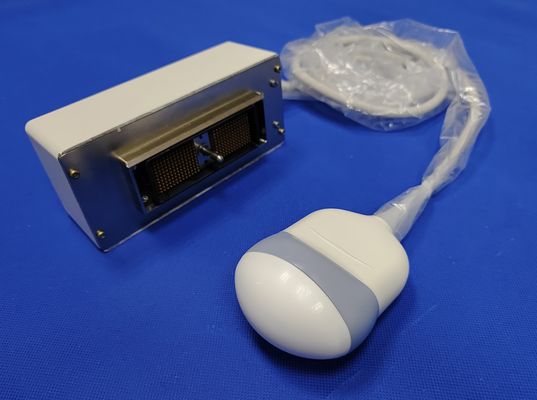 Ultraschallsonde kompatibel mit GE RAB2-5L Voluson 730 4D