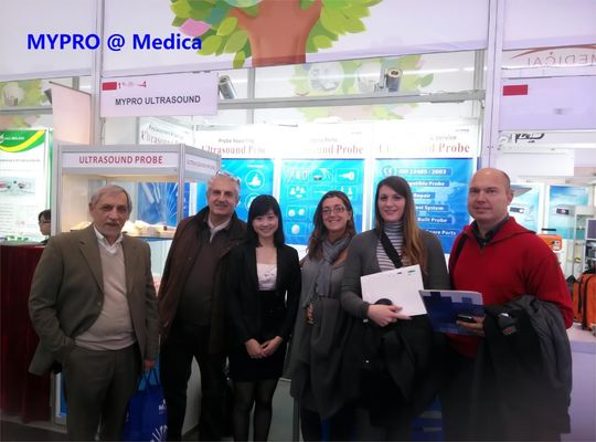 Ultraschallsonde 4D Konvex RAB2-6-RS für GE Voluson P8 Volusoni BT14 Versana Premier