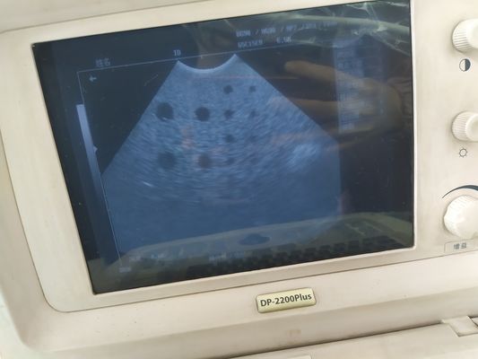 Klasse II Ultraschall-Mindray-Schwangerschaftsscanner 65C15EA Mikrokonvexprobe zur Bildgebung