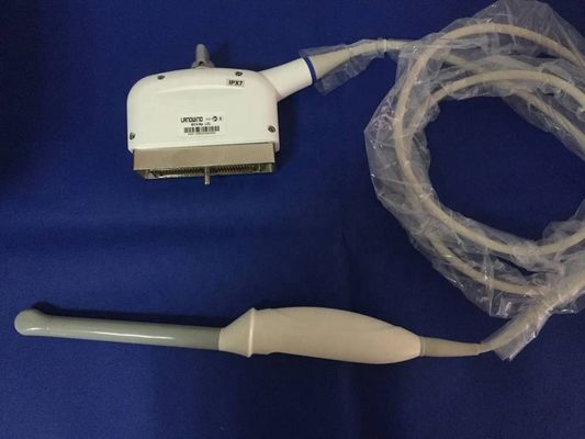 Ultraschallkompatible Sonde für Diagnosebildsystem LANDWIND EC4-9p LCL EX20