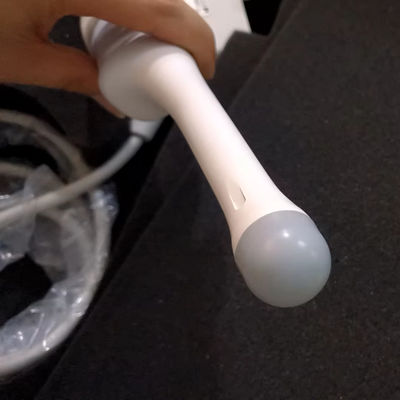 Elektrische Ultraschall-Transvaginale Sonde für Mindray DE11-3E DC-40 DC-70 in großer Nachfrage