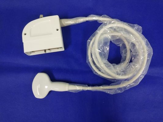 Konvexe Sonde Ultraschallkompatible Sonde zur medizinischen Untersuchung
