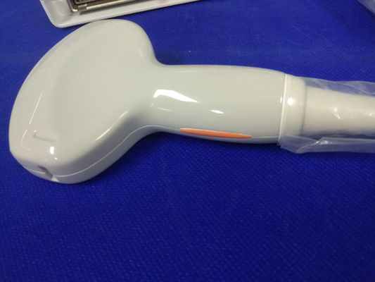 Konvexe Sonde Ultraschallkompatible Sonde zur medizinischen Untersuchung