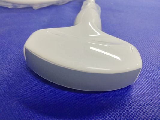 Konvexe Sonde Ultraschallkompatible Sonde zur medizinischen Untersuchung
