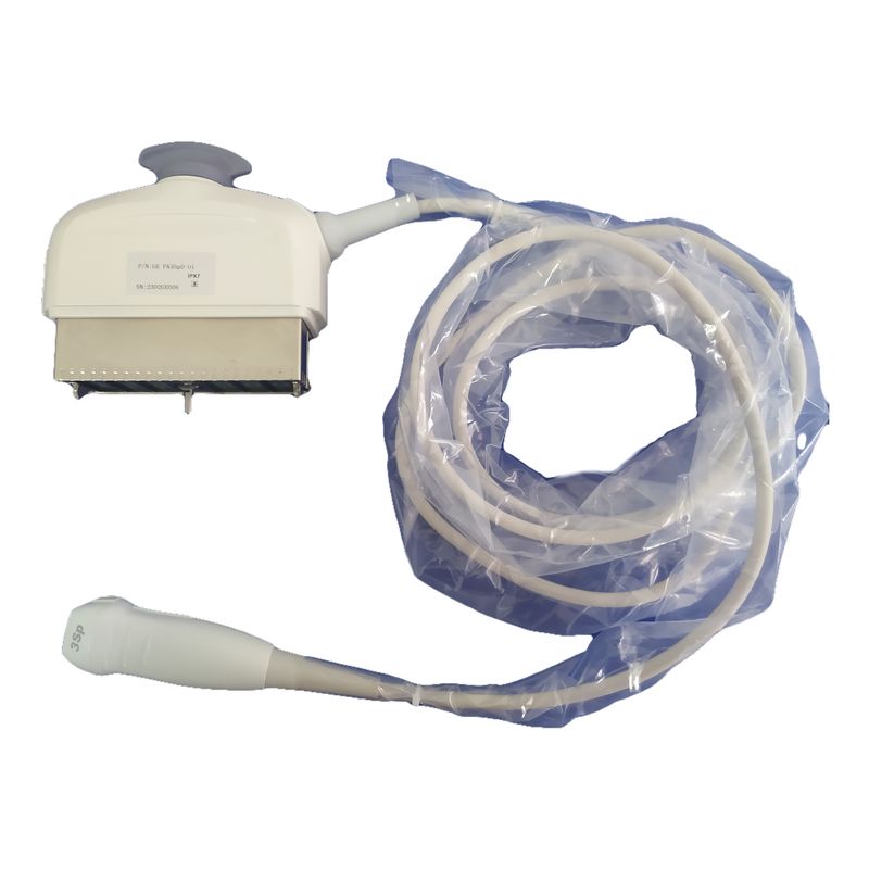 Ultraschallsonde mit 3Sp-Phase-Array-Technologie GE Logiq P5/P6/P6 Pro Kompatibel
